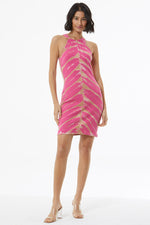 Iggy Mini Dress