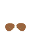 The Campbell - Gold-Brown