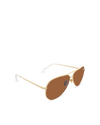 The Campbell - Gold-Brown