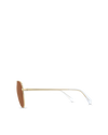 The Campbell - Gold-Brown