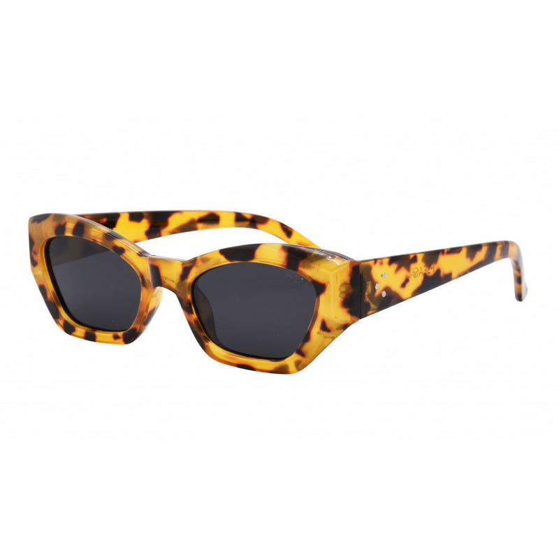 Beck Sunglasses
