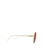 The Campbell - Gold-Brown