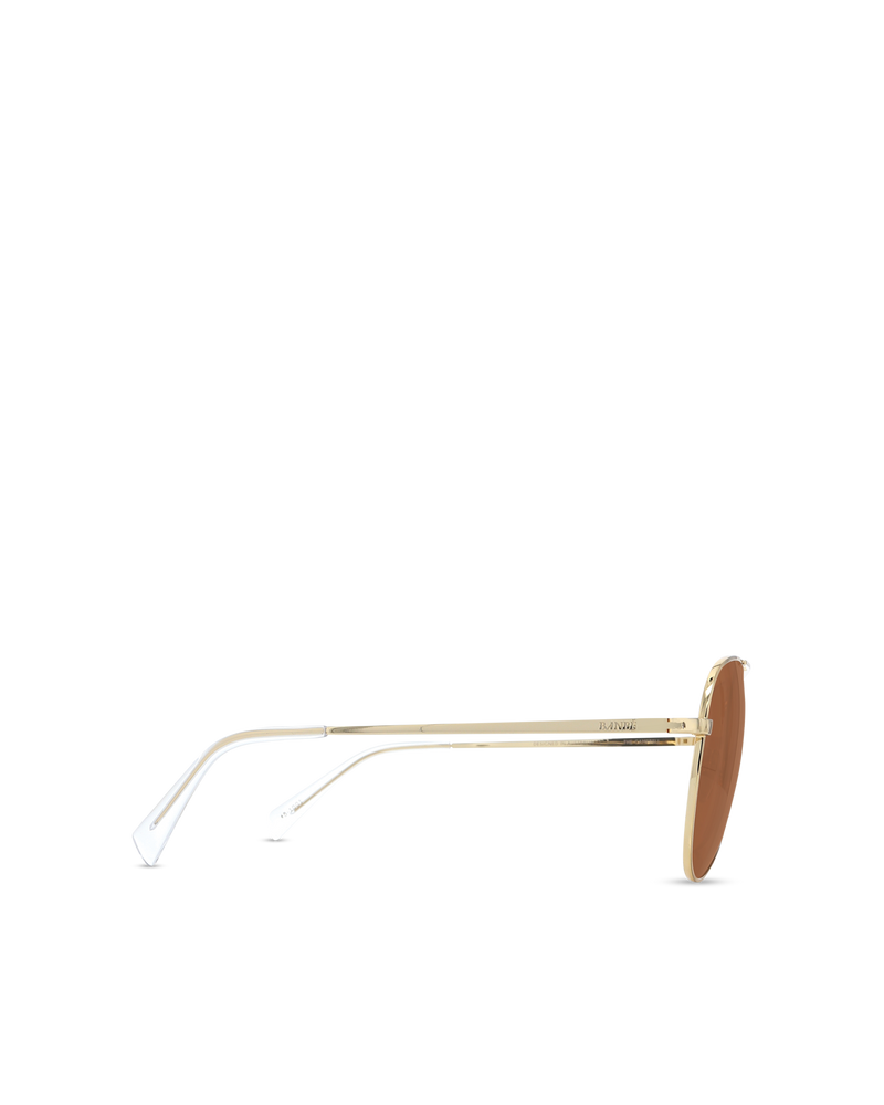 The Campbell - Gold-Brown