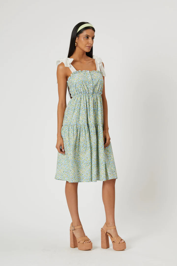 The Veronica Dress